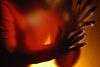 poem fire